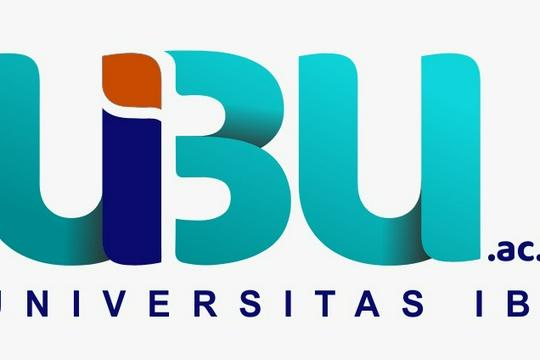Ubir Logo logo