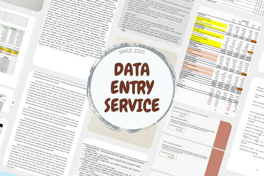 Input Entry Input/Entry Data, Microsoft Excel, Google Sheet