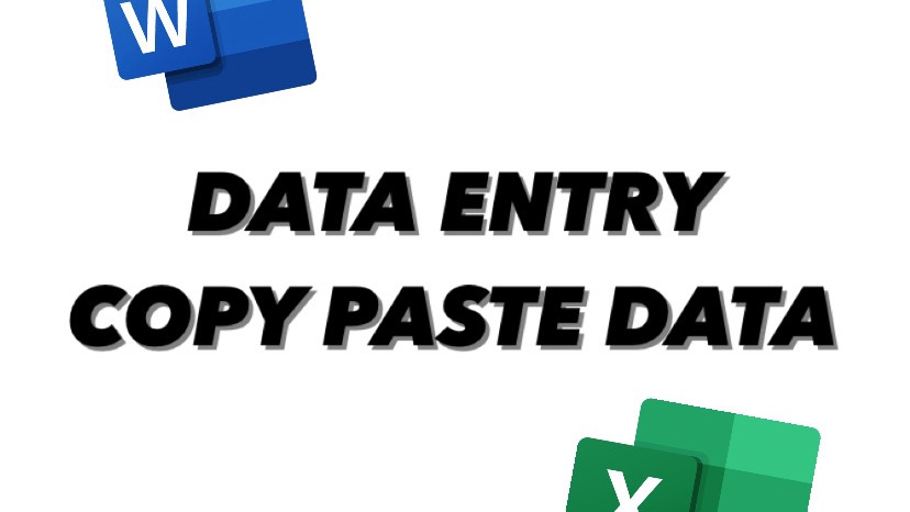Data Entry | Excel | Word | Spreadsheet | Copy Paste