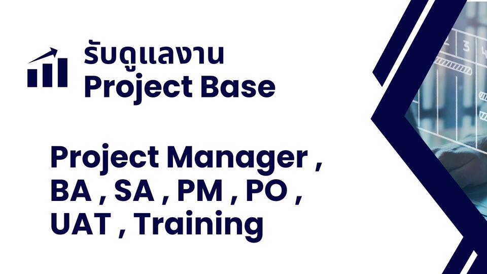 ดูแลงาน Project manager, BA ,SA , PM , PO , API ตาม project base