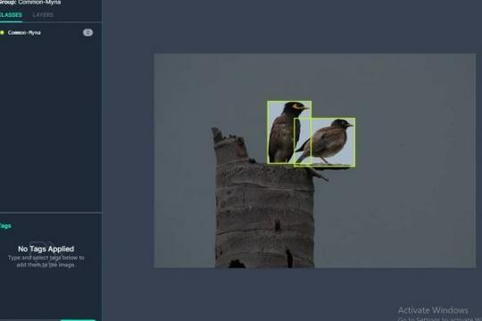 Bounding Box Machine Learning Pembuatan Annotation Dataset (Bounding Box, Polygon, Text) untuk ...