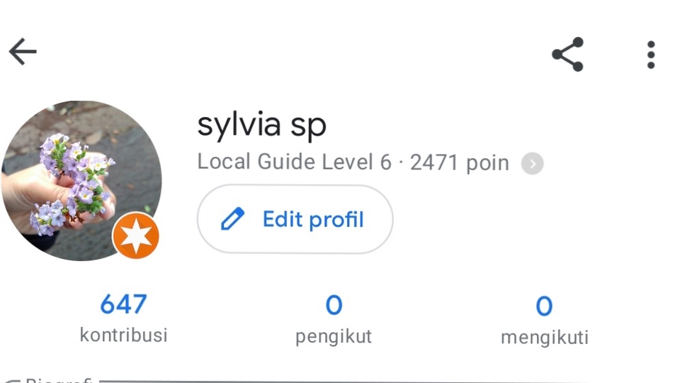 Reviewer Google Maps