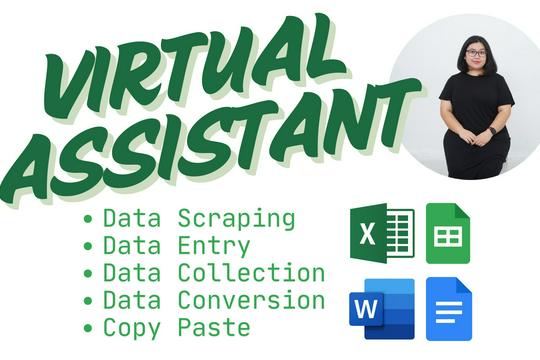 Virtual Assistant for Data Entry