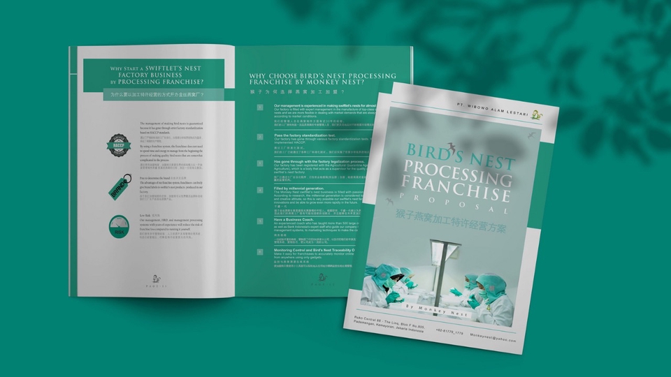 STYLING COMPANY PROFILE & CATALOG