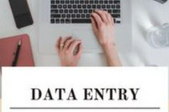Freelancer Profesional | Spesialis Data Entry dengan Akurasi Tinggi