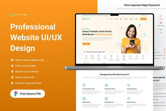 Professional Website UI/UX Design