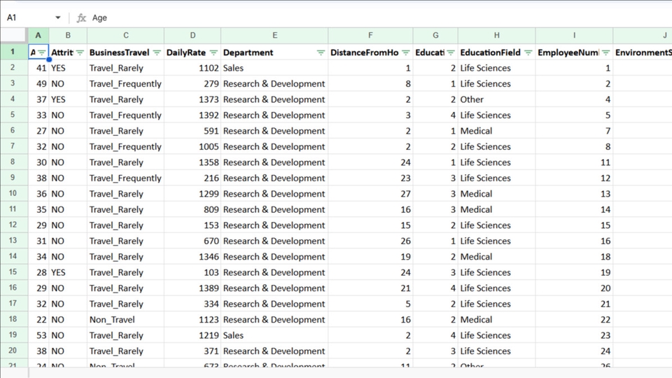Input Data Excel Profesional