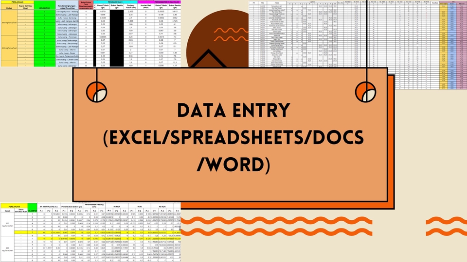 Data Entry Ms. Office (Excel, Power Point, Ms. Word) / Google ...